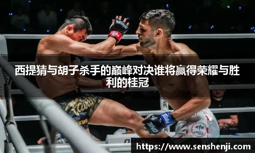 西提猜与胡子杀手的巅峰对决谁将赢得荣耀与胜利的桂冠